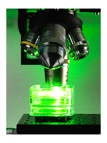 Verhaert-HTI-Raman spectroscopy