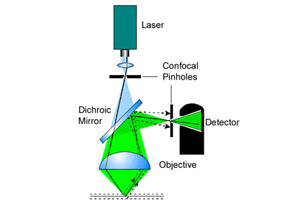 IP building block - Laser scanning confocal microscope